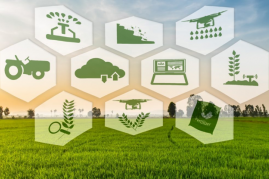 Farm field with ten hexagons with farm, agriculture, and business icons layered over it.