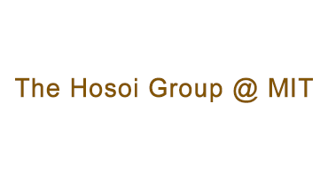 Peko Hosoi Group Logo - the words "The Hosoi Group @ MIT" in medium brown on a white background