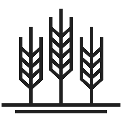 line drawing of three blades of wheat rising up out of the ground, indicated by horizontal lines across the bottom