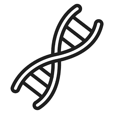line drawing of a DNA double helix